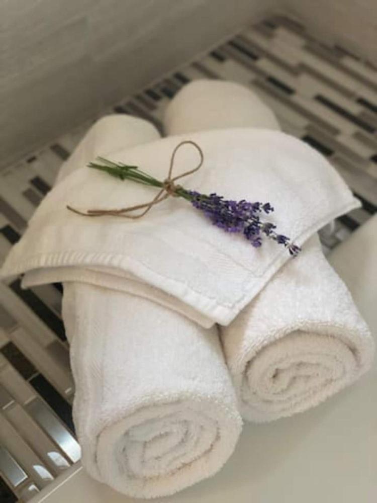 Quadruple Room with Kitchen and Spa Bath - Pet Friendly interior
